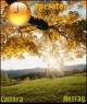 8619 l Nature 81
